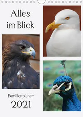 Lampert |  Alles im Blick (Wandkalender 2021 DIN A4 hoch) | Sonstiges |  Sack Fachmedien