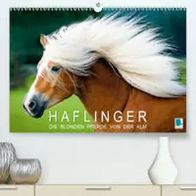 Calvendo / CALVENDO |  Haflinger: Die blonden Pferde von der Alm (Premium, hochwertiger DIN A2 Wandkalender 2021, Kunstdruck in Hochglanz) | Sonstiges |  Sack Fachmedien