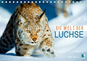 Calvendo / CALVENDO |  Die Welt der Luchse (Tischkalender 2021 DIN A5 quer) | Sonstiges |  Sack Fachmedien