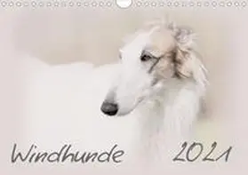 Redecker | Windhunde 2021 (Wandkalender 2021 DIN A4 quer) | Sonstiges | 978-3-671-65240-2 | www.sack.de