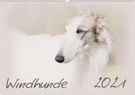 Redecker | Windhunde 2021 (Wandkalender 2021 DIN A2 quer) | Sonstiges | 978-3-671-65242-6 | www.sack.de