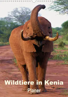 Rudolf Blank |  Wildtiere in Kenia / Planer (Wandkalender 2021 DIN A3 hoch) | Sonstiges |  Sack Fachmedien