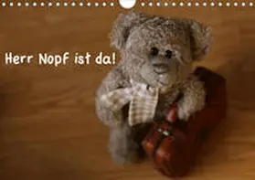 Kanthak | Herr Nopf ist da! (Wandkalender 2021 DIN A4 quer) | Sonstiges | 978-3-671-66002-5 | www.sack.de