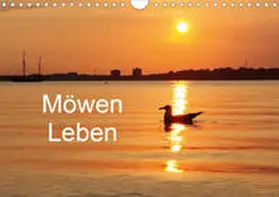 Riedel |  Möwen Leben (Wandkalender 2021 DIN A4 quer) | Sonstiges |  Sack Fachmedien