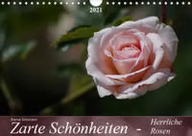 Schumann | Zarte Schönheiten - Herrliche RosenCH-Version  (Wandkalender 2021 DIN A4 quer) | Sonstiges | 978-3-671-66643-0 | www.sack.de