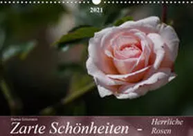 Schumann | Zarte Schönheiten - Herrliche RosenCH-Version  (Wandkalender 2021 DIN A3 quer) | Sonstiges | 978-3-671-66644-7 | www.sack.de
