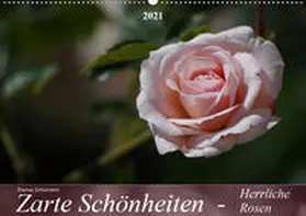 Schumann | Zarte Schönheiten - Herrliche RosenCH-Version  (Wandkalender 2021 DIN A2 quer) | Sonstiges | 978-3-671-66645-4 | www.sack.de