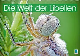 Calvendo / CALVENDO |  Die Welt der Libellen (Wandkalender 2021 DIN A2 quer) | Sonstiges |  Sack Fachmedien