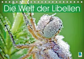 Calvendo / CALVENDO |  Die Welt der Libellen (Tischkalender 2021 DIN A5 quer) | Sonstiges |  Sack Fachmedien