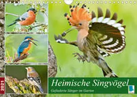 Calvendo / CALVENDO |  Heimische Singvögel (Wandkalender 2021 DIN A4 quer) | Sonstiges |  Sack Fachmedien