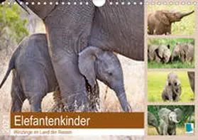 Calvendo / CALVENDO |  Elefantenkinder: Winzlinge im Land der Riesen (Wandkalender 2021 DIN A4 quer) | Sonstiges |  Sack Fachmedien