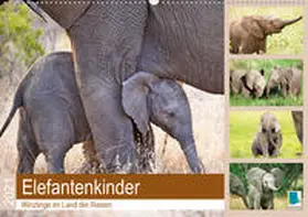 Calvendo / CALVENDO |  Elefantenkinder: Winzlinge im Land der Riesen (Wandkalender 2021 DIN A2 quer) | Sonstiges |  Sack Fachmedien