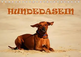 Wyk |  HundedaseinAT-Version  (Tischkalender 2021 DIN A5 quer) | Sonstiges |  Sack Fachmedien