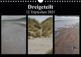 Franz | Dreigeteilt - 12 Triptychen 2021 (Wandkalender 2021 DIN A4 quer) | Sonstiges | 978-3-671-76877-6 | www.sack.de