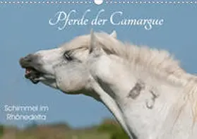 Bölts |  Pferde der Camargue - Schimmel im Rhônedelta (Wandkalender 2021 DIN A3 quer) | Sonstiges |  Sack Fachmedien