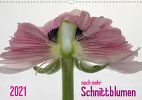 Weber-Gebert |  2021 - noch mehr SCHNITTBLUMEN (Wandkalender 2021 DIN A3 quer) | Sonstiges |  Sack Fachmedien