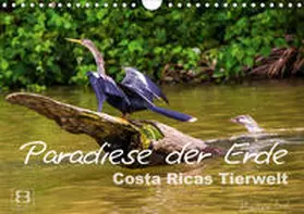 Busch |  Paradiese der Erde: Costa Ricas Tierwelt (Wandkalender 2021 DIN A4 quer) | Sonstiges |  Sack Fachmedien