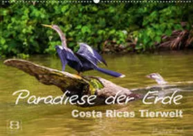 Busch |  Paradiese der Erde: Costa Ricas Tierwelt (Wandkalender 2021 DIN A2 quer) | Sonstiges |  Sack Fachmedien