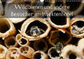 Frost |  Wildbienen und andere Besucher am Insektenhotel (Wandkalender 2021 DIN A3 quer) | Sonstiges |  Sack Fachmedien