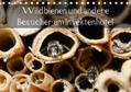 Frost |  Wildbienen und andere Besucher am Insektenhotel (Tischkalender 2021 DIN A5 quer) | Sonstiges |  Sack Fachmedien