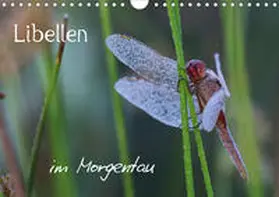 Brix - Studio Brix |  Libellen im Morgentau (Wandkalender 2021 DIN A4 quer) | Sonstiges |  Sack Fachmedien