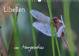 Brix - Studio Brix |  Libellen im Morgentau (Wandkalender 2021 DIN A3 quer) | Sonstiges |  Sack Fachmedien