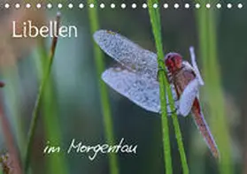 Brix - Studio Brix |  Libellen im Morgentau (Tischkalender 2021 DIN A5 quer) | Sonstiges |  Sack Fachmedien