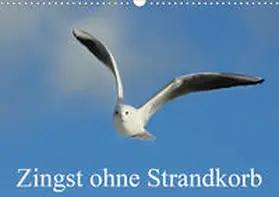 Starick |  Zingst ohne Strandkorb (Wandkalender 2021 DIN A3 quer) | Sonstiges |  Sack Fachmedien