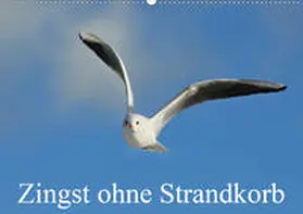 Starick |  Zingst ohne Strandkorb (Wandkalender 2021 DIN A2 quer) | Sonstiges |  Sack Fachmedien
