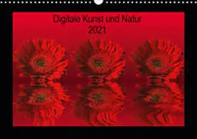 Fornal |  Digitale Kunst und Natur (Wandkalender 2021 DIN A3 quer) | Sonstiges |  Sack Fachmedien