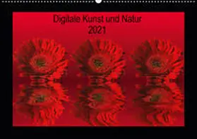 Fornal |  Digitale Kunst und Natur (Wandkalender 2021 DIN A2 quer) | Sonstiges |  Sack Fachmedien