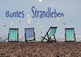 Bleicher |  Buntes Strandleben (Wandkalender 2021 DIN A3 quer) | Sonstiges |  Sack Fachmedien