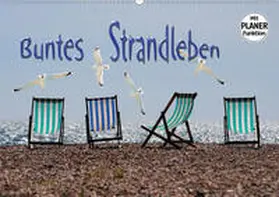 Bleicher |  Buntes Strandleben (Wandkalender 2021 DIN A2 quer) | Sonstiges |  Sack Fachmedien