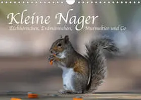 Styppa |  Kleine Nager - Eichhörnchen  Erdmännchen, Murmeltier und Co (Wandkalender 2021 DIN A4 quer) | Sonstiges |  Sack Fachmedien