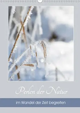 Reiter / Strudl | Perlen der Natur im Wandel der Zeit begreifen (Wandkalender 2021 DIN A3 hoch) | Sonstiges | 978-3-671-98697-2 | sack.de