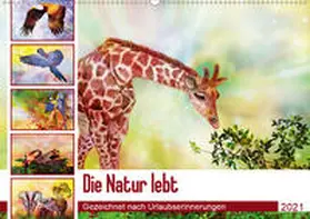 Djeric |  Die Natur lebt - Gezeichnet nach Urlaubserinnerungen (Wandkalender 2021 DIN A2 quer) | Sonstiges |  Sack Fachmedien