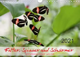 Zeidler | Falter, Spinner und Schwärmer (Wandkalender 2021 DIN A4 quer) | Sonstiges | 978-3-671-99631-5 | www.sack.de
