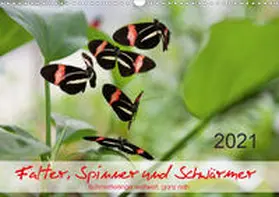 Zeidler | Falter, Spinner und Schwärmer (Wandkalender 2021 DIN A3 quer) | Sonstiges | 978-3-671-99632-2 | www.sack.de