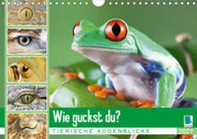 Calvendo / CALVENDO |  Wie guckst du? Tierische Augenblicke (Wandkalender 2021 DIN A4 quer) | Sonstiges |  Sack Fachmedien