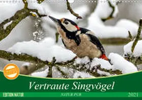 N |  NATUR PUR Vertraute Singvögel (Wandkalender 2021 DIN A3 quer) | Sonstiges |  Sack Fachmedien