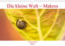 Schnell |  Die kleine Welt - Makros (Wandkalender 2021 DIN A4 quer) | Sonstiges |  Sack Fachmedien