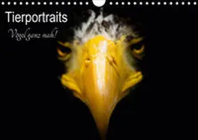 Honold | Tierportraits - Vögel ganz nah (Wandkalender 2021 DIN A4 quer) | Sonstiges | 978-3-672-07182-0 | sack.de