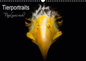 Honold | Tierportraits - Vögel ganz nah (Wandkalender 2021 DIN A3 quer) | Sonstiges | 978-3-672-07183-7 | sack.de