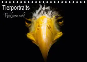 Honold |  Tierportraits - Vögel ganz nah (Tischkalender 2021 DIN A5 quer) | Sonstiges |  Sack Fachmedien