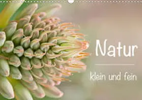 Busse |  Natur klein und fein (Wandkalender 2021 DIN A3 quer) | Sonstiges |  Sack Fachmedien
