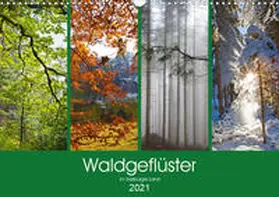 Kramer |  Waldgeflüster im Salzburger Land (Wandkalender 2021 DIN A3 quer) | Sonstiges |  Sack Fachmedien