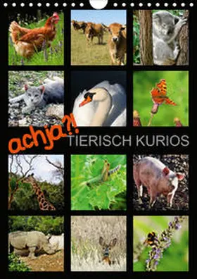 Löwer |  achja?! TIERISCH KURIOS (Wandkalender 2021 DIN A4 hoch) | Sonstiges |  Sack Fachmedien