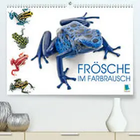 Calvendo / CALVENDO |  Frösche im Farbrausch (Premium, hochwertiger DIN A2 Wandkalender 2021, Kunstdruck in Hochglanz) | Sonstiges |  Sack Fachmedien