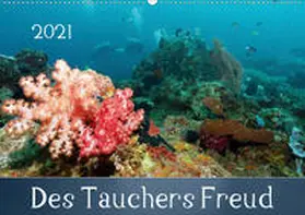 Schumann | Des Tauchers Freud (Wandkalender 2021 DIN A2 quer) | Sonstiges | 978-3-672-09990-9 | www.sack.de