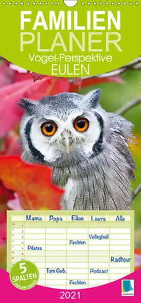 Calvendo / CALVENDO |  Eulen: Vogel-Perspektive (Wandkalender 2021 , 21 cm x 45 cm, hoch) | Sonstiges |  Sack Fachmedien